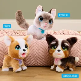 Hasbro FurReal Friends Kitty 20 cm Grau/Weiß/Mehrfarbig