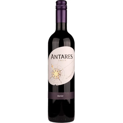 Antares Merlot Santa Carolina 2021