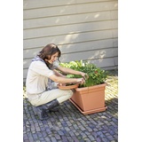 elho Untersetzer Green Basics Garden XXL 80 x 33 x 5,5 cm terracotta