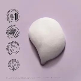 Alfaparf Milano Semi di Lino Style&Care Amplifying Mousse 250ml