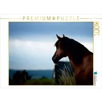 Calvendo Pferde im schönen Taunus 1000 Teile Puzzle quer