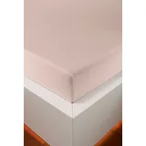 bellana Spannbettlaken Jersey-Elasthan 180 x 200 - 200 x 220 cm beige/weiß 1 St.