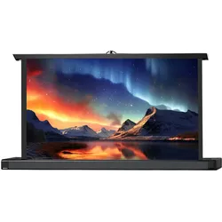 celexon Tischleinwand Professional Mini Screen 89 x 50cm