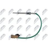NTY Sensor, Abgastemperatur