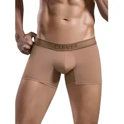 Clever  Boxer Boxer Britanica  in Braun, EU M