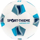 Sport-Thieme Fussbälle, 5,