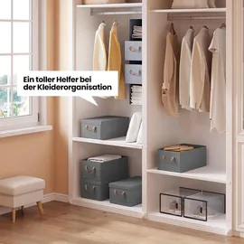 Woltu 6er Set Aufbewahrungsboxen mit Deckel, mit Griffen, faltbar, Grau, 27L(48x29x20 cm