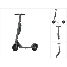Segway Ninebot E45D E-Scooter (9 Zoll, Grau)