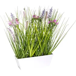 Botanic-Haus Kunstblume »Wiesenblumen im Kunststofftopf« Botanic-Haus pink-lavendel