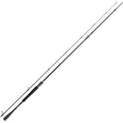 Daiwa Prorex AGS 2.50m 28-70g Spinnrute