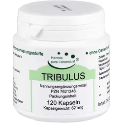 Tribulus Kapseln