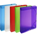 Exacompta 59610E Dateiablagebox Polypropylen PP 700μ Rücken 40mm) 25x33 cm A4 Crystal sortiert