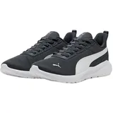 Puma ANZARUN 2 LITE SLIPTECH Herren Grau/Weiß 40