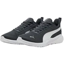 Puma ANZARUN 2 LITE SLIPTECH Herren Grau/Weiß 40
