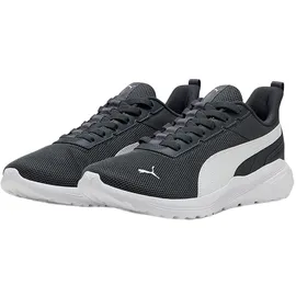 Puma ANZARUN 2 LITE SLIPTECH Herren Grau/Weiß 40