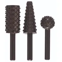 Bosch Raspelfräser Ø 15 mm Schaftdurchmesser 6 mm