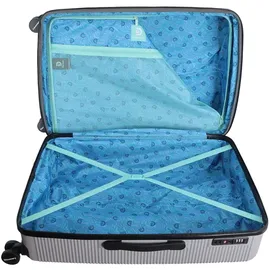 DISCOVERY Eclipse 4-Rollen Cabin 51 cm / 77 cm / 105 l grau