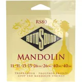 ROTOSOUND RS80 Troubadour Mandoline Phosphor Bronze