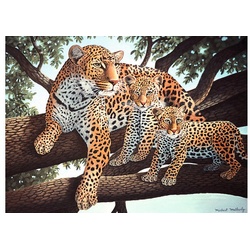 Royal Langnickel Malvorlage Leoparden, Junior Large, Leoparden