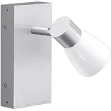 Fischer Leuchten Wandleuchte 30069 Silber