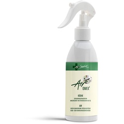 Air Creative Geruchsneutralisation Airomex®AW «Küche» | mit Bio-Duft Sprühflasche 250 ml