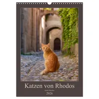 Calvendo Katzen von Rhodos (Wandkalender 2026 DIN A3 hoch),