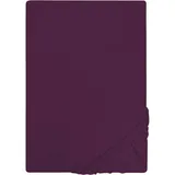 Castell Spannbettlaken Jersey 140 x 200 - 160 x 200 cm dunkel violett