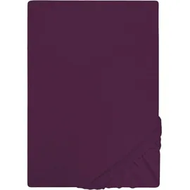 Castell Spannbettlaken Jersey 140 x 200 - 160 x 200 cm dunkel violett