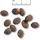 Belcando Puppy GF Poultry 4 kg