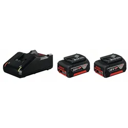 BOSCH Akku Starter-Set: 2 x GBA 1600A019S0