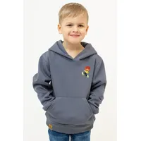 Bavarian Caps Hoodie Grey 104