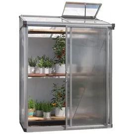 Gfp Anlehngewächshaus Aluminium Grau Polycarbonat 10 mm 1,16 m2