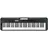 Casio CT-S300 schwarz