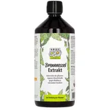 Aries Brennnessel Extrakt 1L