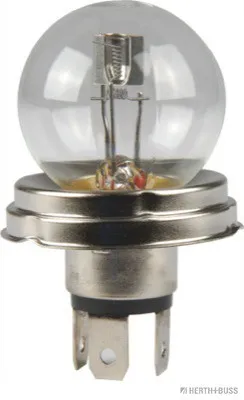 HERTH&BUSS 24V Scheinwerfer Lampe - Nennleistung 50/55W mit P45t Sockel - Langlebige R2 (Bilux) Bele