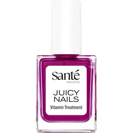 Sante Juicy Nails 01 Plum Glaze Farblack 10 ml