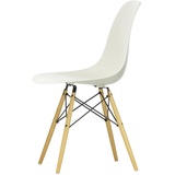 Vitra - Eames Plastic Side Chair DSW RE, Ahorn gelblich / kieselstein (Filzgleiter weiß)