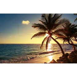 Fototapete PAPERMOON "PALMEN-STRAND SONNENUNTERGANG NATUR MEER LANDSCHAFT XXL", bunt, B:3,50m L:2,60m, Vlies, Tapeten