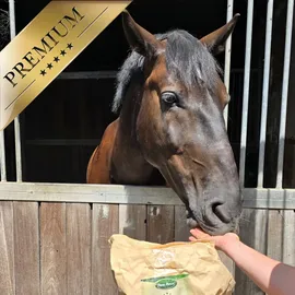 Lyra Pet Karotte-Himbeer-Kräuter Leckerli 10 kg