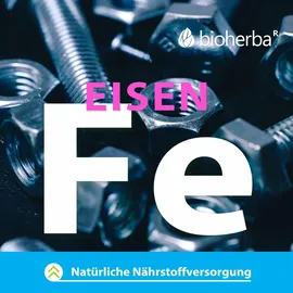 Bioherba Propolis Kapseln 100 Stück