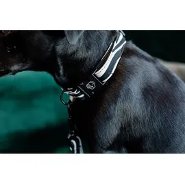 Kentucky Hundehalsband Eidechse beige XL\'45-75cm