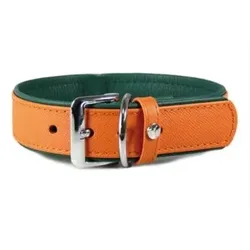 Das Lederband Hundehalsband Milano orange/forest, Länge: 50 cm / Breite: 30 mm