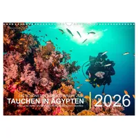 Calvendo Die schönsten Korallenriffe zum Tauchen in Ägypten (Wandkalender
