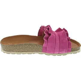 Verbenas Rocio Roda fuchsia 36