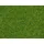 NOCH Streugras Zierrasen 1,5 mm 08214 H0/TT/N/Z