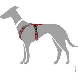 Hunter Maldon Up Hundegeschirr rot/grau XS-S