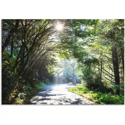 Wandbild ARTLAND "Sonniger Wald", grün (farbe bild(er): grün), B:130cm H:90cm, Bilder, als Alubild, Outdoorbild, Leinwandbild, Poster in verschied. Größen
