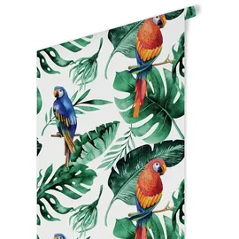 wall-art K&L Wall Art Vliestapete »Kinder Vliestapete«, Papageien bunte Vögel, mehrfarbig, matt