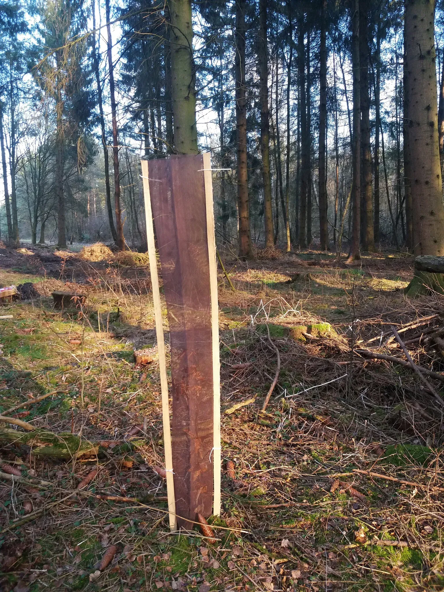 PlantaGard Baumschutz-Gitterhülle Freiwuchs-Bio-Light 120