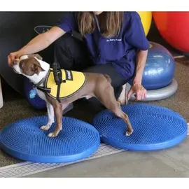 FitPAWS Balance-Scheibe für Haustiere 36 cm Blau